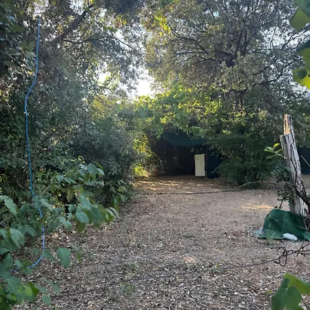 Panorama Autocamp Campingplatz Grebaštica